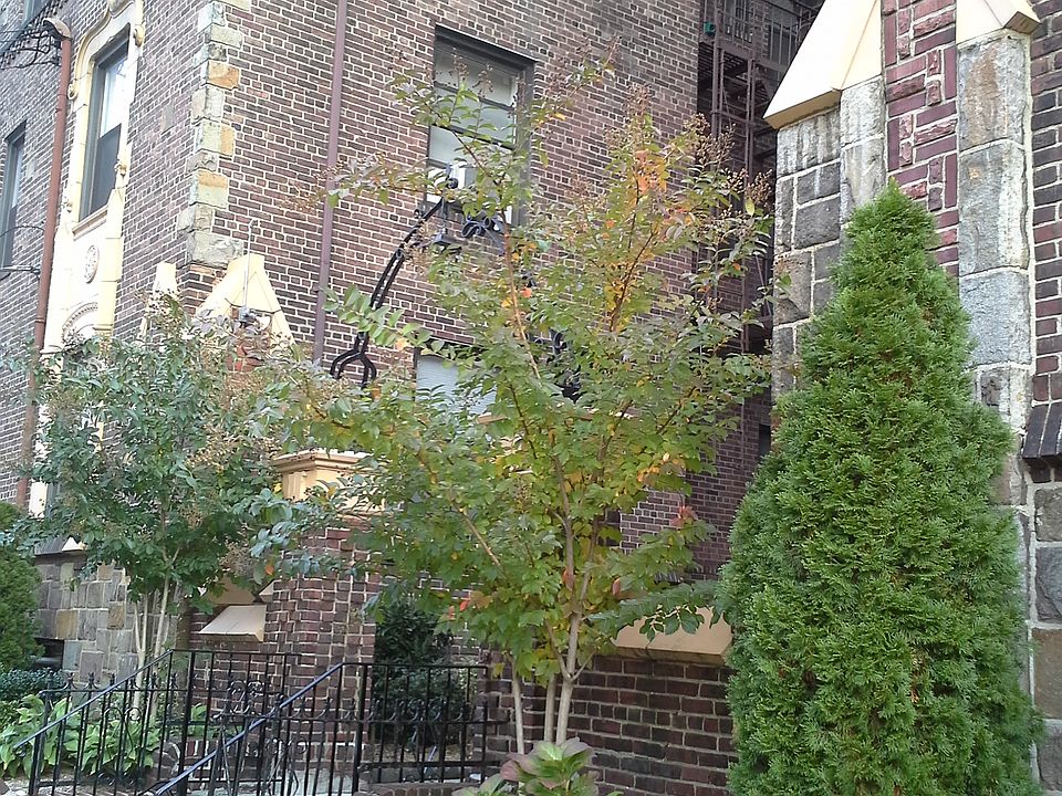 Attractive Landscaping