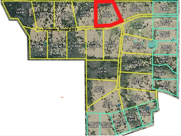2 Private Road 291, Dodd City, TX 75438