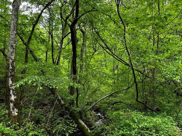 0 Bullskin Branch Rd, Oneida, KY 40972