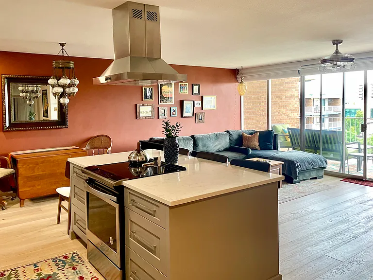 955 Eudora St #703 — Photo 6
