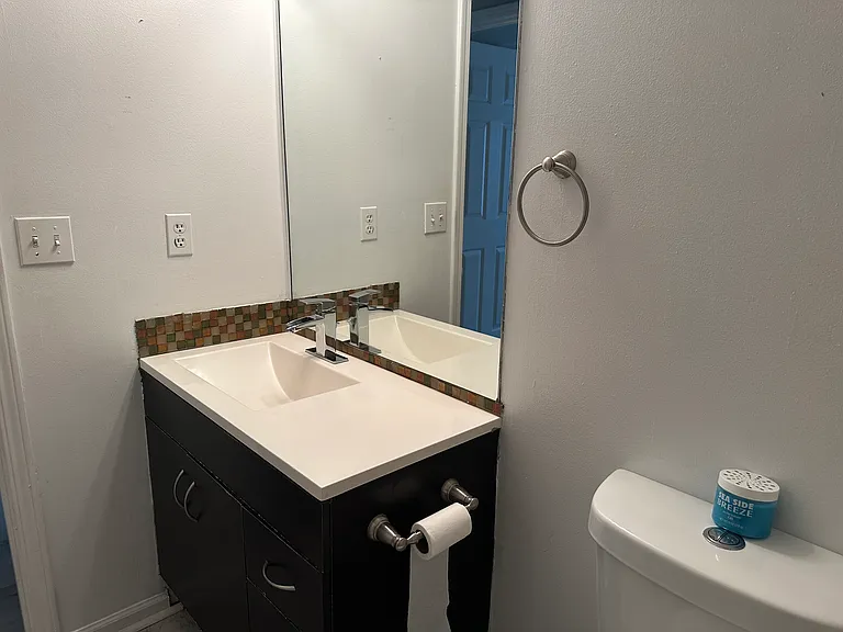 976 Sham Pointe Dr — Photo 16