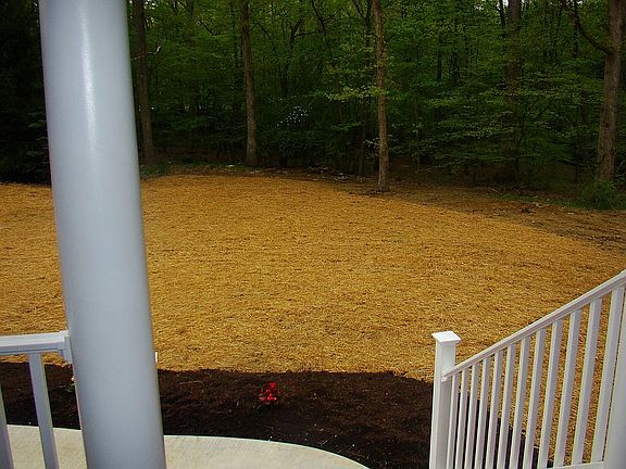 Front yard