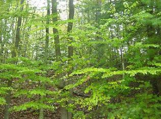 Mull Valley Rd, Morganton, GA 30560