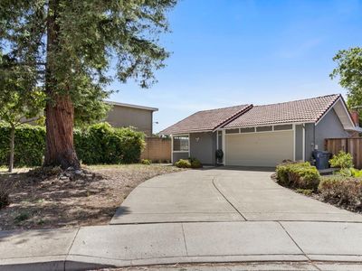 5554 Greenpoint Ct, Newark, CA, 94560