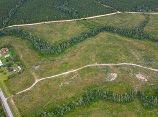 0 State Highway 80 & John S Horton Rd TRACT 3, Adrian, GA 31002