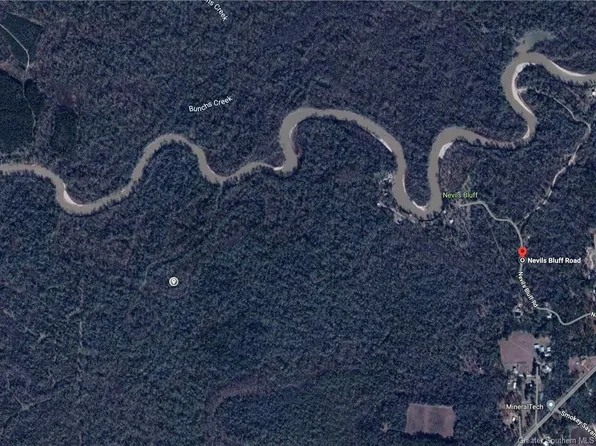 0 Nevils Bluff Rd, Kinder, LA 70648