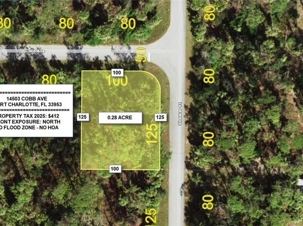 14503 Cobb Ave, Port Charlotte, FL 33953