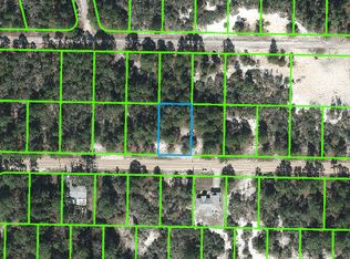 410 Blue Moon Ave, Lake Placid, FL 33852