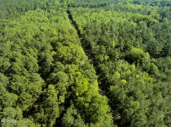 Tbd Mcfarland Road, Laurel Hill, NC 28351