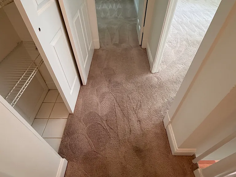 3315 Coryell Ln — Photo 22