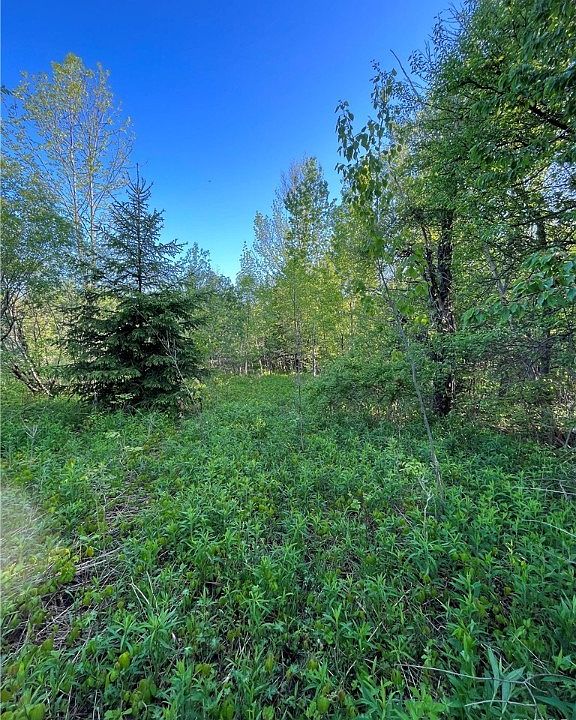 1207 State Route 104a, Sterling, NY 13156 Zillow