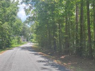 Scenic Dr, Middleburg, FL 32068