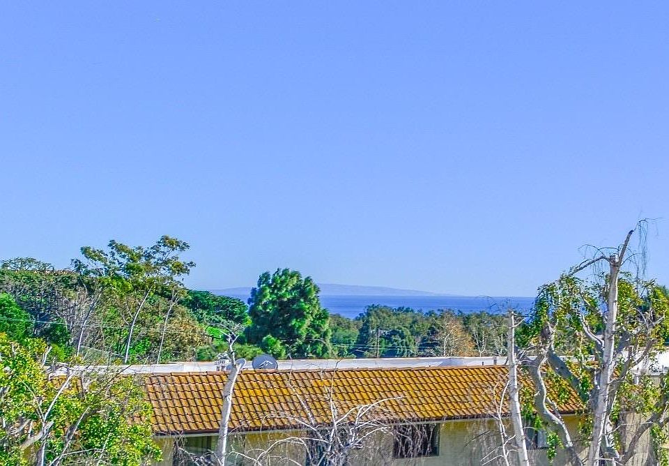 View from living room