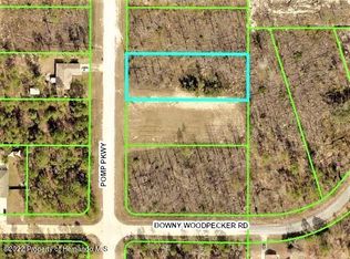 0 Pomp Pkwy, Brooksville, FL 34614