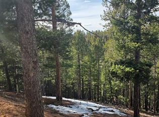 307 Tillicum Trl, Woodland Park, CO 80863