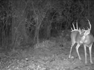 Vl E Howard Rd, Beaverton, MI 48612