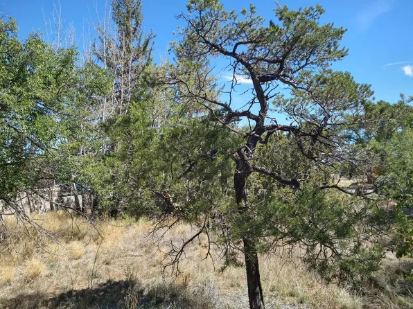 Limit Ave, Mountainair, NM 87036