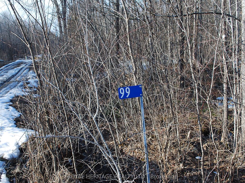 1st image of 99 Future Ln