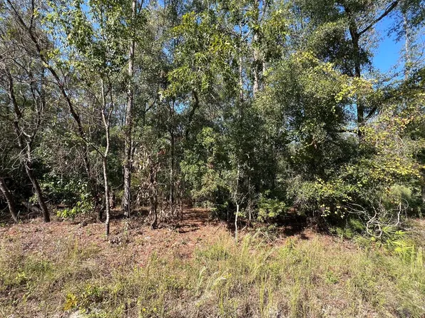 Tbd 286th Ter, Branford, FL 32008