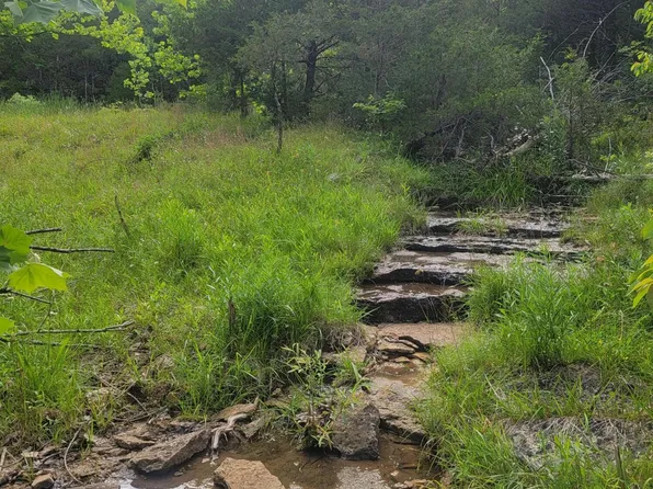 52 White Star Road Co Rd 931, Thornfield, MO 65762