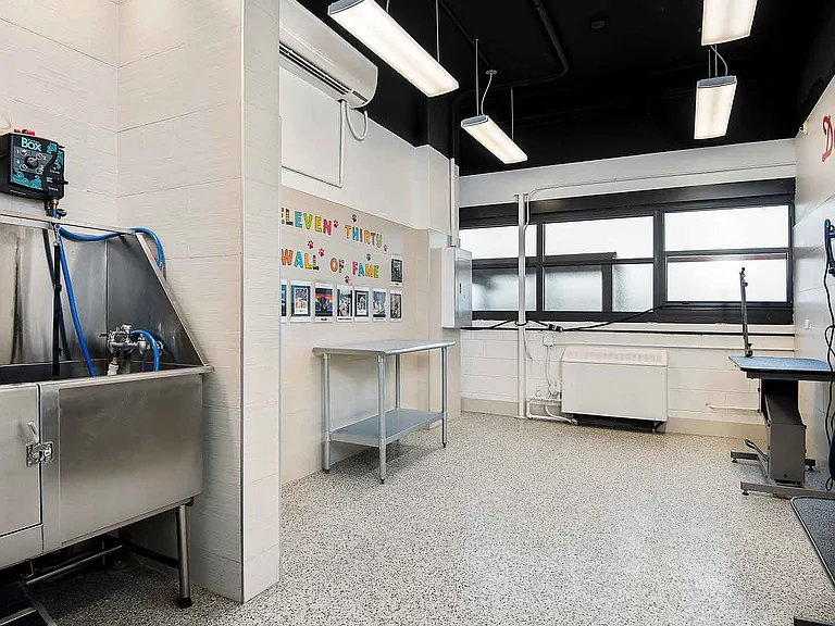 Your pup has an open leash dog park across the street and a private, outdoor dog deck here at home. Bath time is also fun in our fully-equipped dog spa.