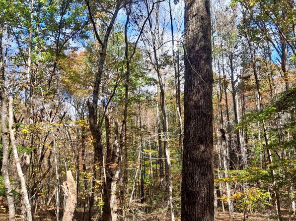 36 Co Rd, Brilliant, AL 35548