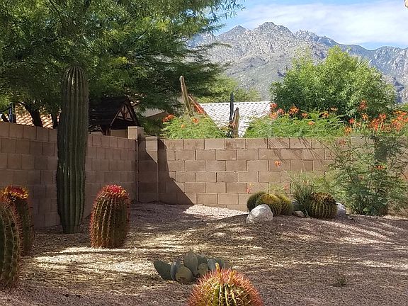 Mountain Views from back yard!