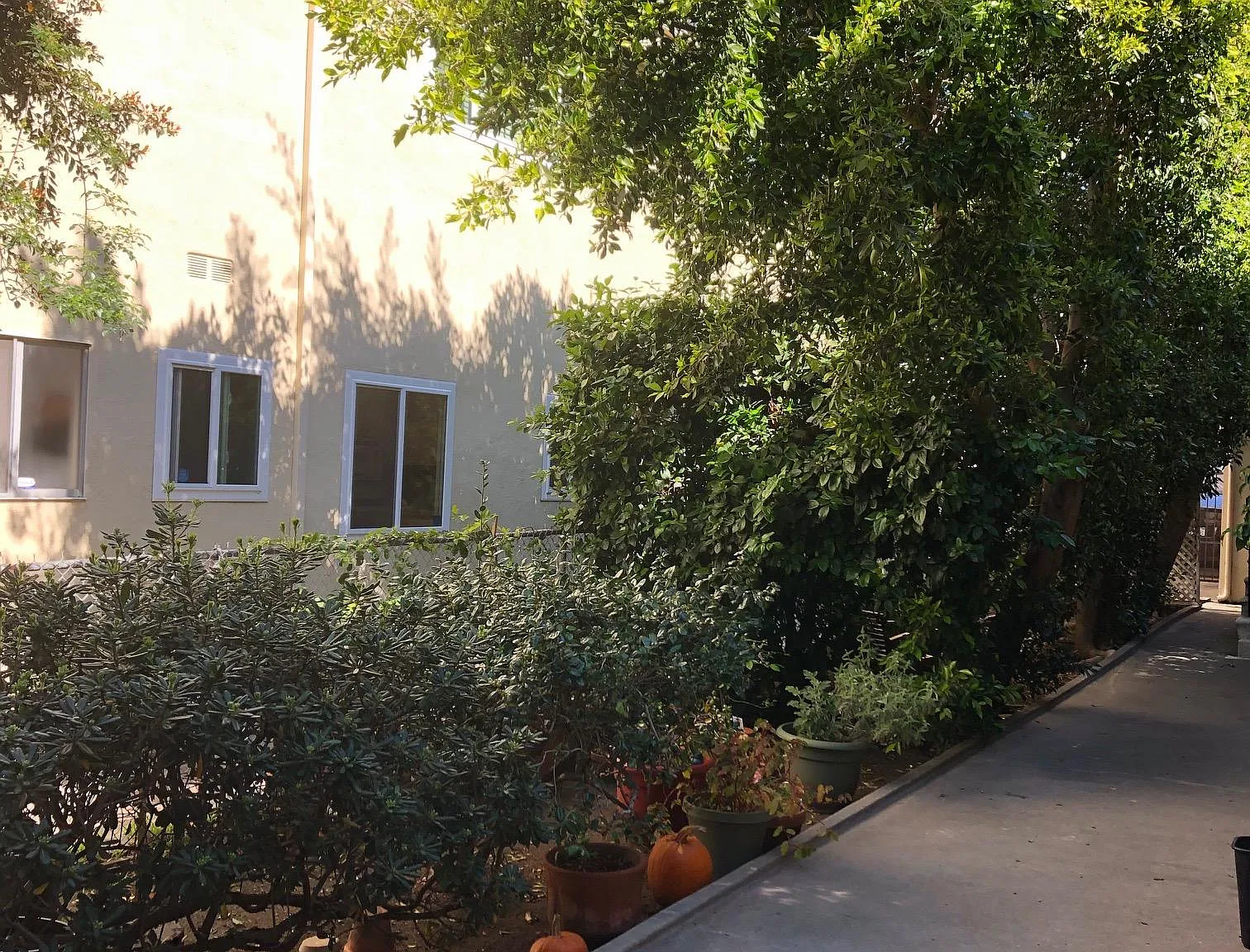 1 bed, 750 sqft, $2,675 — Photo 2