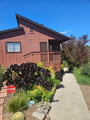 395 Surf St #B Photo 1
