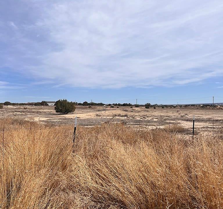 1096 P St Penrose CO Zillow