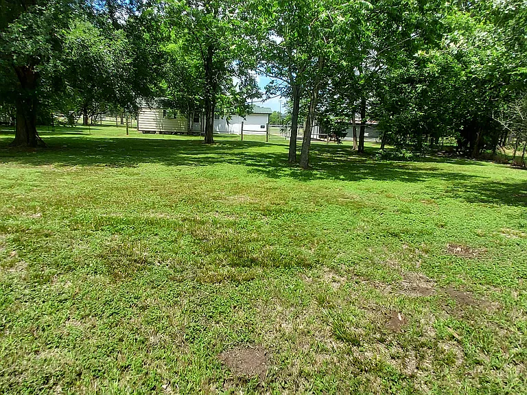 Bonus Yard Area