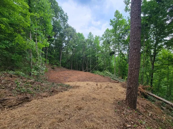 200 Derby Ln, Waynesville, NC 28785