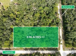 Butternut Dr LOT 5, Webster, FL 33597