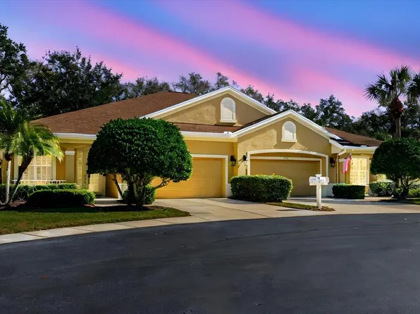 12705 Aston Creek Dr, Tampa, FL 33626