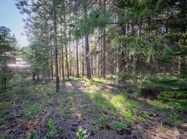 21838 Pinto Lane, Leavenworth, WA 98826