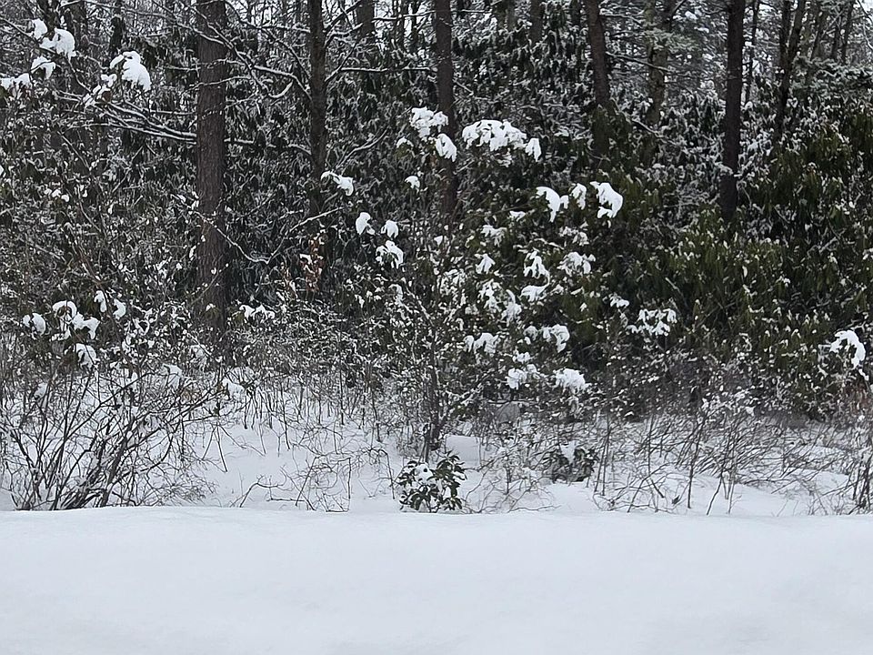 1st image of Trail Ridge Rd