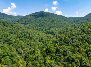 0 Mountain Rd, Caryville, TN 37714