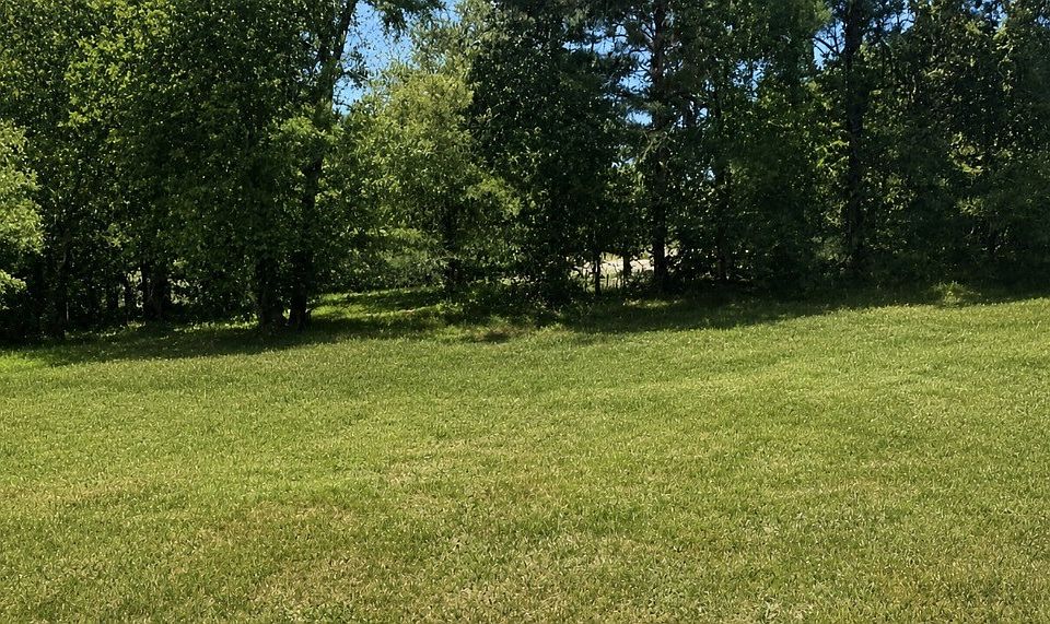 1st image of 704 Deer Ridge Ln