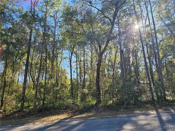 6342 E Glover St, Inverness, FL 34452