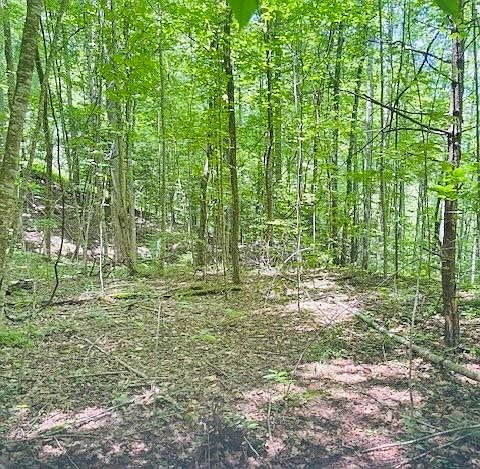 1st image of 0 Macs Mountain Retreat Ln