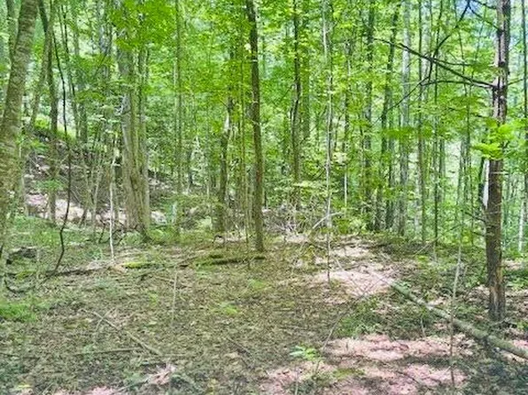 0 Macs Mountain Retreat Ln, Franklin, NC 28734