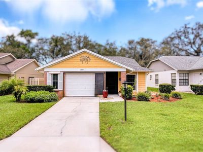 11539 Pear Tree Dr, New Port Richey, FL, 34654