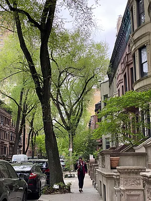 Rented by Douglas Elliman | media 15