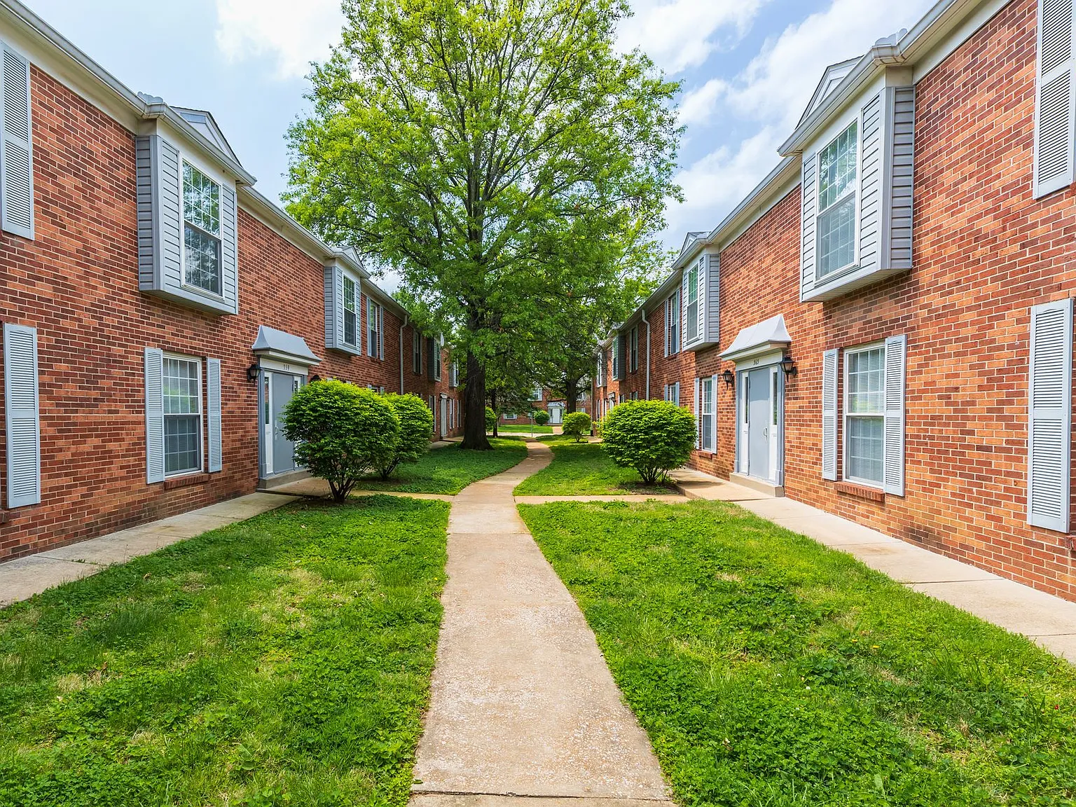 White Birch Apartments — Photo 1