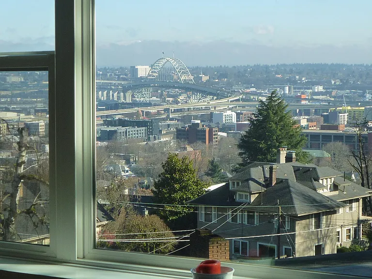 View from window