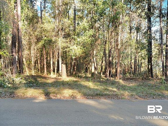 4th image of 107 Glen Hardie Dr
