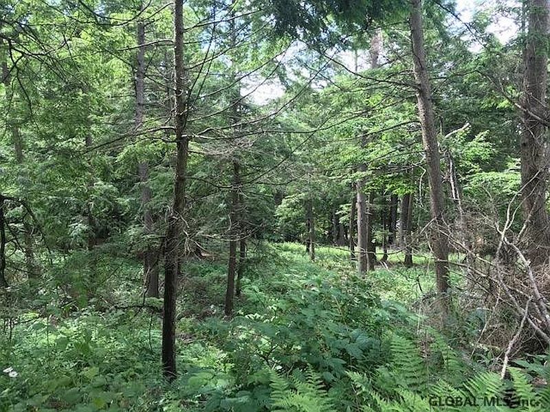 4th image of 0 MINERAL SPRINGS Road