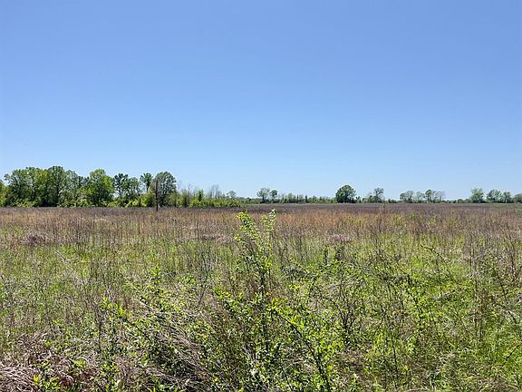 5th image of 1275 Snows Arena Rd