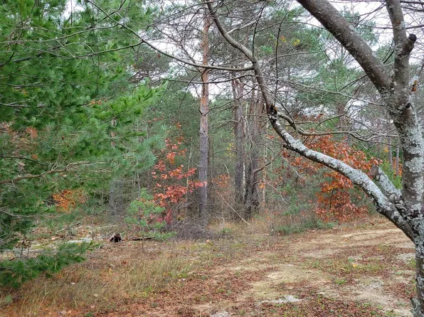 LOT 7 Bonter Ct, Cheboygan, MI 49721