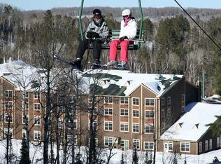 6373 Wynne Creek Dr #319, Biwabik, MN 55708